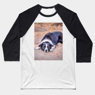 Cute Border Collie Lying on Ground Baseball T-Shirt